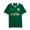 Maglia ufficiale Palmeiras Casa 2024-25 per Uomo